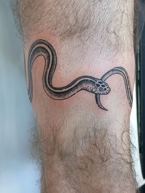 Black linework tattoo of a winding snake